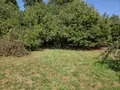 Terrain a batir a vendre Mayenne 53100 Mayenne 53 58000 euros 53075-FC 113 004