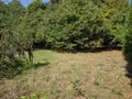 Terrain a batir a vendre Mayenne 53100 Mayenne 53 58000 euros 53075-FC 113 005