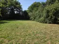 Terrain a batir a vendre Mayenne 53100 Mayenne 53 58000 euros 53075-FC 113 006