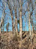 Terrains de loisirs bois etangs a vendre Saint-Fraimbault-de-Prières 53300 Mayenne 53 2500 euros 53075DLS23011 002