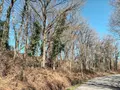 Terrains de loisirs bois etangs a vendre Saint-Fraimbault-de-Prières 53300 Mayenne 53 2500 euros 53075DLS23011 004