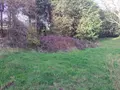 Terrain a batir a vendre Quimperlé 29300 Finistère 29 55068 euros 29114-1075453 001