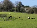 Maison a vendre Clohars-Carnoët 29360 Finistère 29 198 m2 10 pièces 752236 euros 29114-1073561 027