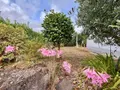 Maison a vendre Riec-sur-Bélon 29340 Finistère 29 93 m2 4 pièces 260000 euros MRSB520 019