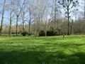 Terrains de loisirs bois etangs a vendre Courçay 37310 Indre-et-Loire 37 15900 euros 11893/483 002