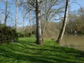 Terrains de loisirs bois etangs a vendre Courçay 37310 Indre-et-Loire 37 15900 euros 11893/483 001