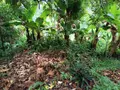 Maison a vendre Le Robert 97231 Martinique 972 3 pièces 77000 euros 92 024