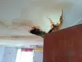 Maison a vendre Le Robert 97231 Martinique 972 3 pièces 77000 euros 92 010