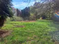 Terrain a batir a vendre Rédené 29300 Finistère 29 181438 euros 29114-15 001