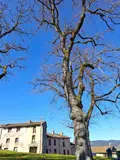 Maison a vendre Saint-Amant-Roche-Savine 63890 Puy-de-Dôme 63 100 m2 7 pièces 21000 euros 2025-39-2025117 016