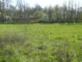 Terrain a batir a vendre Rambervillers 88700 Vosges 88 49000 euros 2225 003