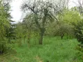 Maison a vendre Isches 88320 Vosges 88 94 m2 5 pièces 28000 euros 2228 015