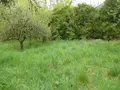 Maison a vendre Isches 88320 Vosges 88 94 m2 5 pièces 28000 euros 2228 016