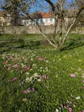 Propriete a vendre Montsaugeon 52190 Haute-Marne 52 235 m2 8 pièces 560000 euros 52020-35 003