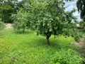 Terrain a batir a vendre Avaray 41500 Loir-et-Cher 41 1084 m2 48500 euros 41022/1338 003