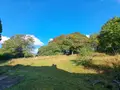 Propriete a vendre Querrien 29310 Finistère 29 110 m2 5 pièces 441575 euros 29114-19 004