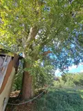 Propriete a vendre Querrien 29310 Finistère 29 110 m2 5 pièces 441575 euros 29114-19 024