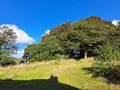 Propriete a vendre Querrien 29310 Finistère 29 110 m2 5 pièces 441575 euros 29114-19 026