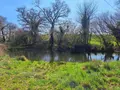 Propriete a vendre Querrien 29310 Finistère 29 110 m2 5 pièces 441575 euros 29114-19 030