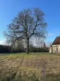 Propriete a vendre Baugé-en-Anjou 49150 Maine-et-Loire 49 415 m2 14 pièces 606100 euros LB/2534 026