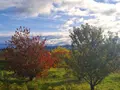 Terrain a batir a vendre Aulhat-Saint-Privat 63500 Puy-de-Dôme 63 81000 euros 2025-45-2025159 004