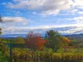 Terrain a batir a vendre Aulhat-Saint-Privat 63500 Puy-de-Dôme 63 81000 euros 2025-45-2025159 001