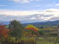 Terrain a batir a vendre Aulhat-Saint-Privat 63500 Puy-de-Dôme 63 81000 euros 2025-45-2025159 006