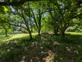 Terrain a batir a vendre Riec-sur-Bélon 29340 Finistère 29 1462 m2 146300 euros 29114-29 002
