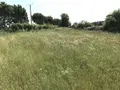 Terrain a batir a vendre Briosne-lès-Sables 72110 Sarthe 72 34866 euros 079/1968 004