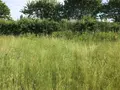 Terrain a batir a vendre Briosne-lès-Sables 72110 Sarthe 72 33339 euros 079/1971 003