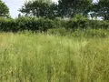 Terrain a batir a vendre Briosne-lès-Sables 72110 Sarthe 72 43200 euros 079/1972 004
