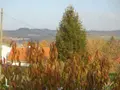 Maison a vendre Eu 76260 Seine-Maritime 76 148 m2 6 pièces 263000 euros VM773-76041 011