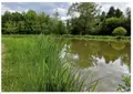 Terrains de loisirs bois etangs a vendre Raye-sur-Authie 62140 Pas-de-Calais 62 65000 euros 62140-850 002