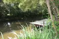 Terrains de loisirs bois etangs a vendre Martigné-sur-Mayenne 53470 Mayenne 53 15 m2 95000 euros 53075/FC119 002