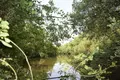 Terrains de loisirs bois etangs a vendre Martigné-sur-Mayenne 53470 Mayenne 53 15 m2 95000 euros 53075/FC119 006