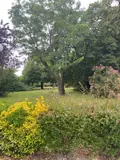 Appartement a vendre Bordeaux 33200 Gironde 33 80 m2 4 pièces 243000 euros 015/753 011