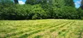 Terrain a batir a vendre Bazas 33430 Gironde 33 50400 euros 32632-2 002