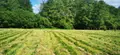 Terrain a batir a vendre Bazas 33430 Gironde 33 50400 euros 32632-2 003