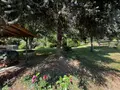 Viager maison Villevallier 89330 Yonne 89 113 m2 4 pièces 45000 euros 89062-13 018