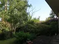 Location maison Pacé 35740 Ille-et-Vilaine 35 150 m2 6 pièces 1345 euros 050/67 038