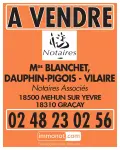 Terrains de loisirs bois etangs a vendre Chârost 18290 Cher 18 6300 euros 142547M 004