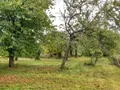 Bien agricole a vendre Val-de-Vière 51340 Marne 51 110000 euros 51081/900 017
