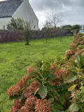 Viager maison Crozon 29160 Finistère 29 63 m2 3 pièces 100000 euros 3021-30 010
