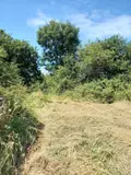 Terrain a batir a vendre Camaret-sur-Mer 29570 Finistère 29 174900 euros 3072-70 004