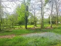 Terrain a batir a vendre Rédené 29300 Finistère 29 826 m2 161510 euros 29114-60 003