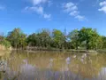 Terrains de loisirs bois etangs a vendre Mézières-en-Brenne 36290 Indre 36 27700 euros 1049343 002