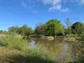 Terrains de loisirs bois etangs a vendre Mézières-en-Brenne 36290 Indre 36 27700 euros 1049343 003