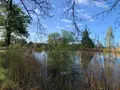 Terrains de loisirs bois etangs a vendre Mézières-en-Brenne 36290 Indre 36 27700 euros 1049343 006