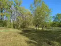 Terrains de loisirs bois etangs a vendre Mézières-en-Brenne 36290 Indre 36 27700 euros 1049343 007
