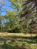 Terrains de loisirs bois etangs a vendre Mézières-en-Brenne 36290 Indre 36 27700 euros 1049343 012